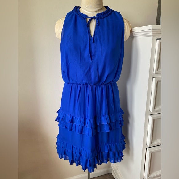 Johnston & Murphy Royal Blue Ruffle Dress - Picture 4 of 10